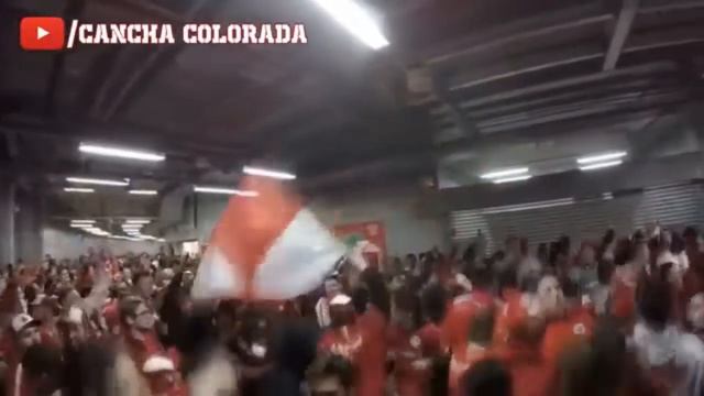 TOP 5 CANÇÕES DA TORCIDA COLORADA смотреть онлайн