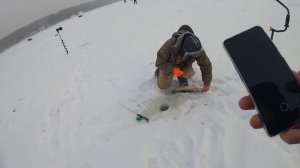 Судак из под бели на раттлин с эхолотом Практик 8