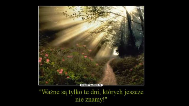 Marek Grechuta-Dni których nie znamy (akordeon cover z tekstem) смотреть онлайн