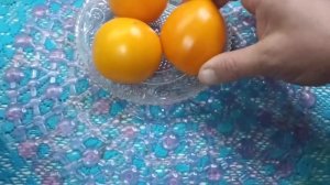 Обзор томата серии гном Гордость побережья оранжевый