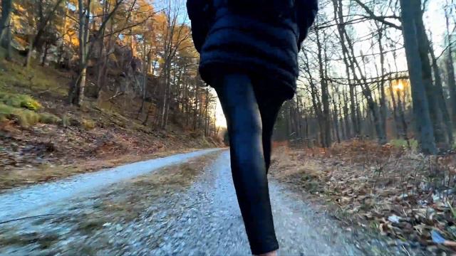 Merkenstein ruins - Dji MINI 2 - 4k смотреть онлайн