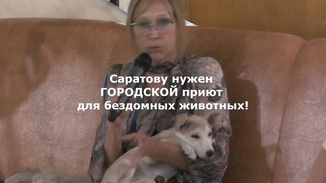 СТЕРИЛИЗАЦИЯ СОБАК смотреть онлайн