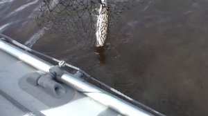 Амурская рыбалка на щуку .Талакан 2020