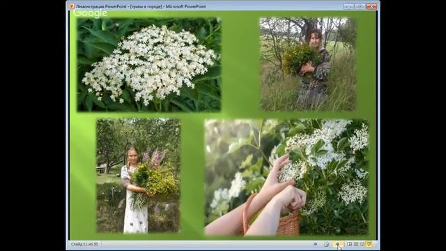 Фрагменты тренинга "ТравоВедение для начинающих" (день1) смотреть онлайн