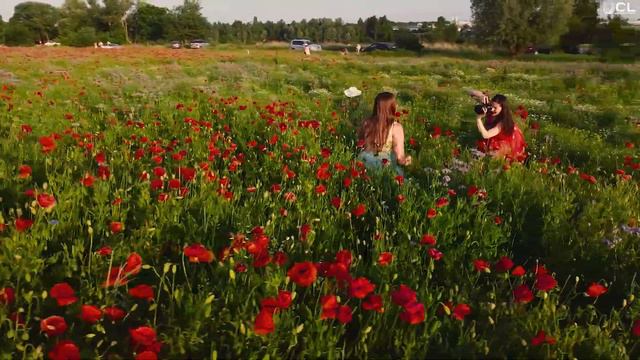 Бэкстейдж фотосесии в маковом поле c дрона DJI Mavic mini смотреть онлайн