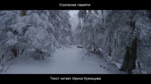 #Сытин. Усиление памяти. Забывчивость отступает.Слушаю настрой