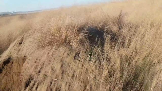 Почва для посадки саженцев винограда. смотреть онлайн