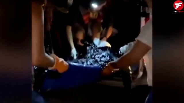 Когда НЕ РАСТЕРЯЛСЯ и СПАС акулу! 20 Трогательных Моментов, Снятых на Камеру смотреть онлайн