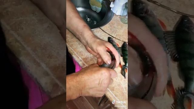 Как правильно почистить окуня за 1 минуту смотреть онлайн