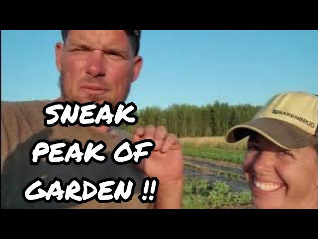 #79. We will leave it till next year! Оставим это до следующего года! 25.07.2024 смотреть онлайн