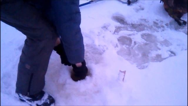 налим рвет леску чермоз пермский край смотреть онлайн