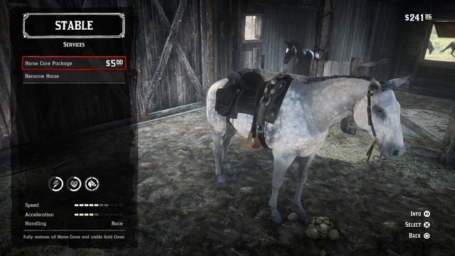 HOW TO GET A BRUSH AND CLEAN HORSE | RED DEAD REDEMPTION 2