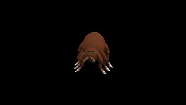 Spore tick смотреть онлайн