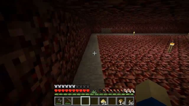 Minecraft - Better Than Wolves - S1E48 - Playing With the Lens смотреть онлайн