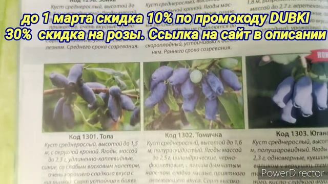 НЕВЕРОЯТНАЯ ИСТОРИЯ ПАВЛА НЕМОЛЯЕВА смотреть онлайн