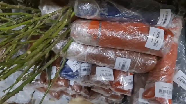 Саженцы роз, СМОТРИТЕ РАЗМЕР! Готовим к отправке ГИГАНТСКИЕ САЖЕНЦЫ смотреть онлайн