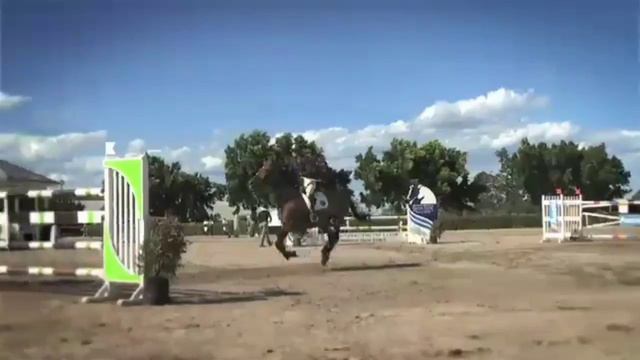 Это не просто спорт это моя жизнь смотреть онлайн