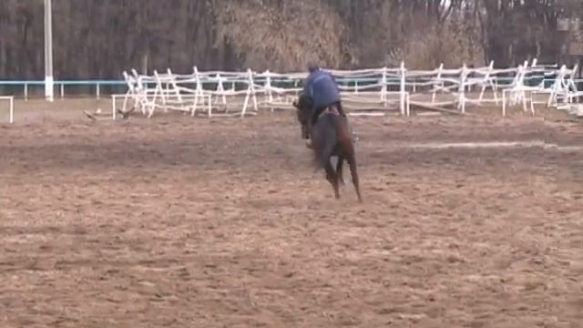 Украинская верховая. 2 часть смотреть онлайн