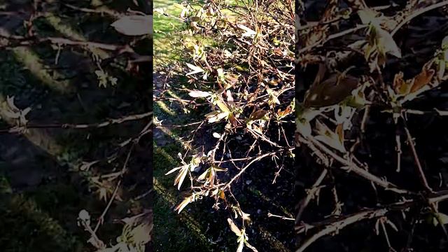 то арктическое вторжение, то из Европы сыростью потянет. Тверская область смотреть онлайн