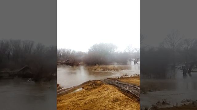 Село Огни Усть-Калманский район Алтайский край смотреть онлайн