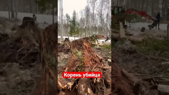 МИНИ ЭКСКАВАТОР ПРОТИВ КОРНЯ #дом #сад #дача #строительство #стройка #jcb #дерево #jcb #cottage смотреть онлайн