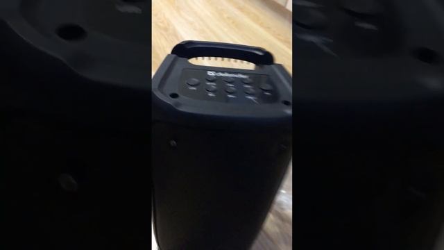 Обзор беспроводной колонки Defender Boomer 20 смотреть онлайн