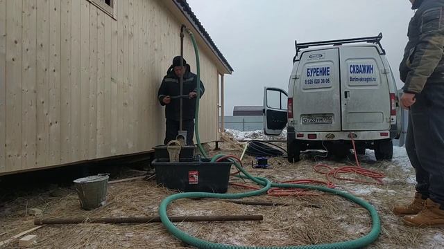 Зимняя абиссинка там где ее быть не может