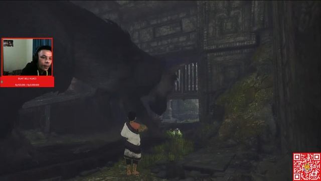 THE LAST ANJAY - THE LAST GUARDIAN (2) смотреть онлайн