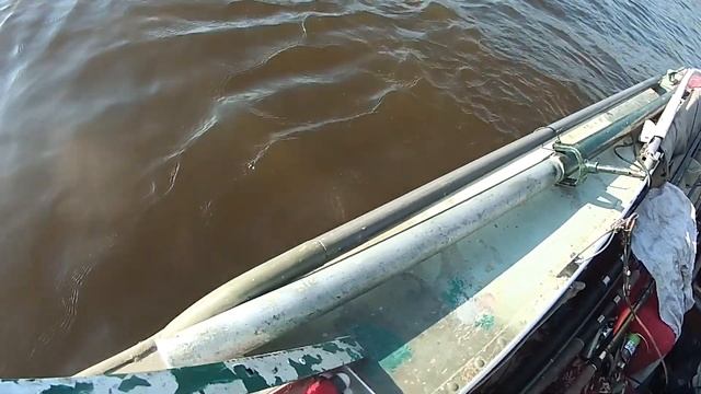 Рыбалка на сома.Ловля сома на троллинг .Как то летом в Сорокашах. смотреть онлайн