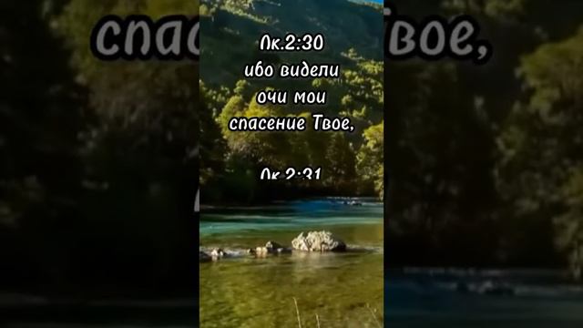 Евангелие дня смотреть онлайн