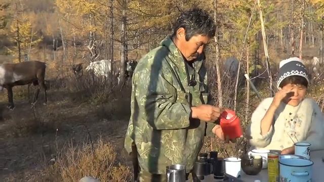 КАК ПОЙМАТЬ ОЛЕНЯ ЛАССО маут смотреть онлайн