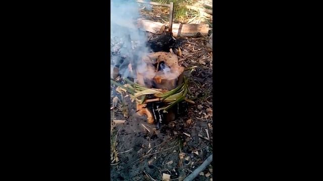 Костёр индейская свеча для выживания (Делай ТАК DIY) смотреть онлайн