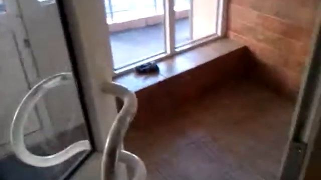 Сломанная дверь в Куркино смотреть онлайн