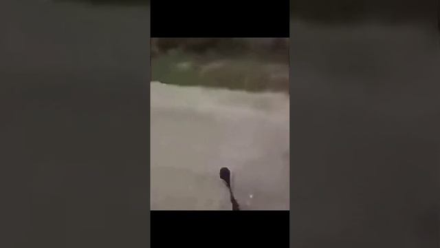 Выкинул рычаг переключения передач..? #shorts #приколы #рычаг смотреть онлайн