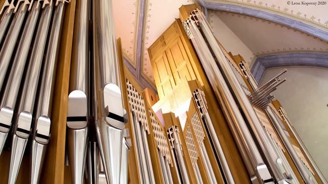 J. S. Bach: 8 kleine Präludien und Fugen | BWV 553-560 (Leon Kopecny) смотреть онлайн