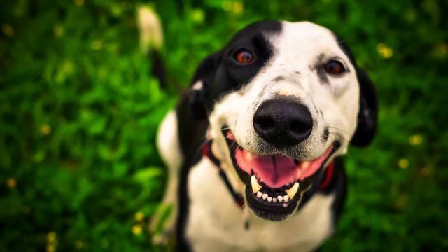 Красивая русская песня для тренировки онлайн смотреть онлайн