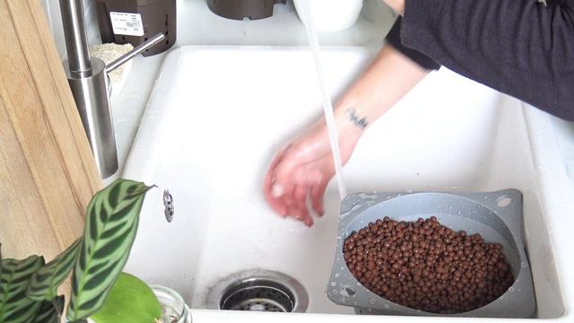 PFLANZEN 🌿 SUBSTRAT von ERDE zu HYDROKULTUR wechseln 🌿 so einfach gehts I Alenas Momlife смотреть онлайн