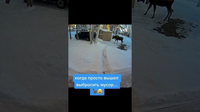 ОРУУУУУ!!!!! ХВХАХАХАХАХА смотреть онлайн