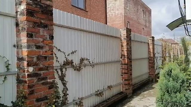 лавровишня лекарственная. Уход, выращивание и размножение смотреть онлайн