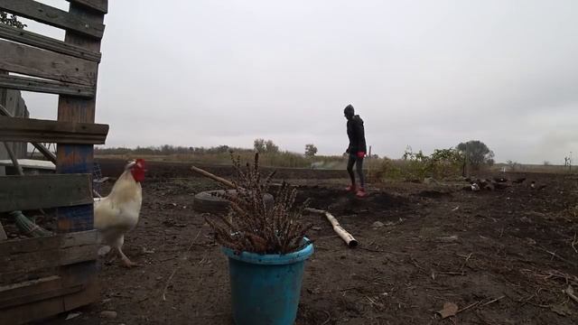 ГОТОВИМСЯ К ЗИМЕ \ ДЕРЕВЕНСКИЕ БУДНИ \ КОПЧЕНАЯ КУРИЦА \ ПЕРЕЕЗД НА ЮГ смотреть онлайн