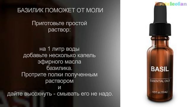 Как избавиться от моли без химии. Моль в доме. смотреть онлайн
