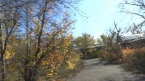 Пионерский лагерь Дружный осень 2023 год, из воспоминаний бывших сотрудников  (1970-1980 годов)