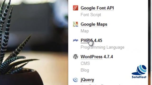 Comment changer la version de PHP dans cPanel ? смотреть онлайн