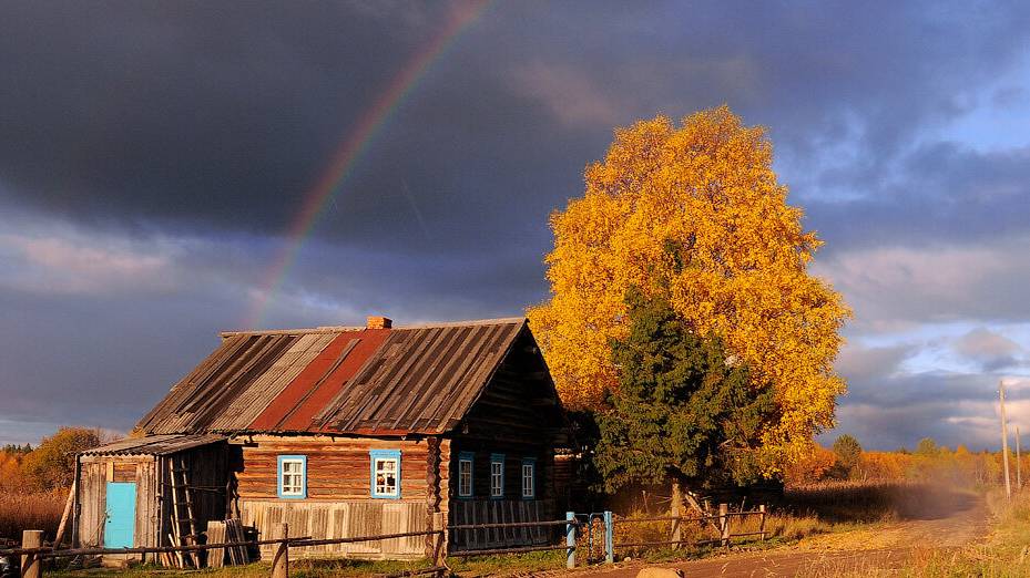Уют и идиллия: Фотографии из русских деревень