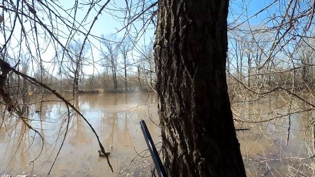 Весна 2023 смотреть онлайн