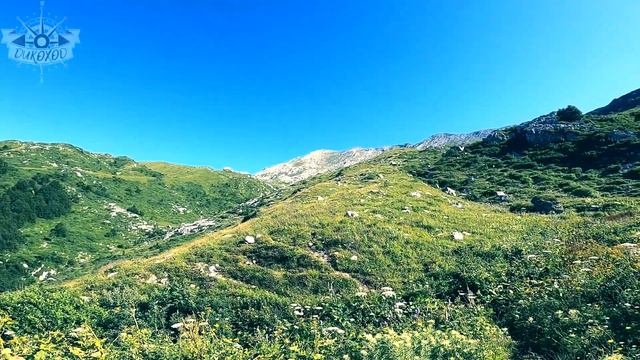 Дикие тропы урочища Хипста #dikohod #abkhazia #апсны #странадуши _
