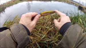 ФишКомм Шоп: воблер Kosadaka Kanata XS 160F. Щучий стейк или щучья котлета?