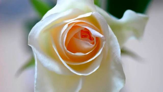 Слушать хорошую русскую песню про любовь онлайн смотреть онлайн