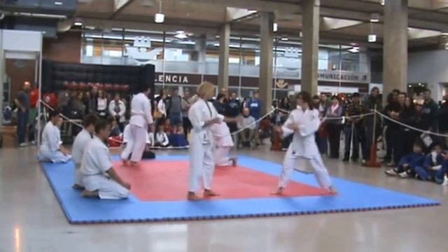 XIV Salón Manga Demostración Estudiantes Aikido Nintai