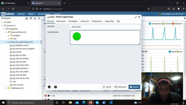roles y usuarios Docker-Pgadmin-PosgreSQL смотреть онлайн